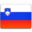 Флаг Словении