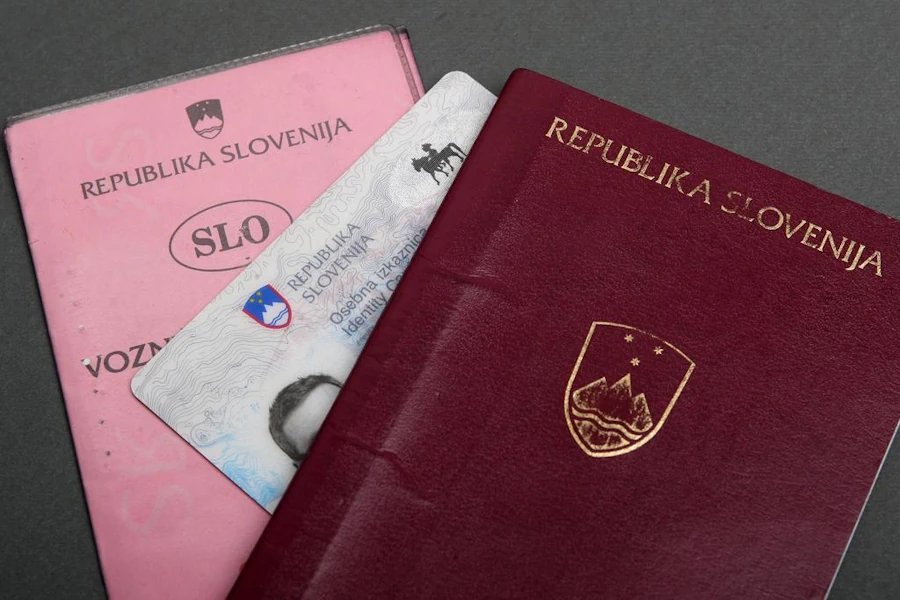Документы для ВНЖ Словении через работу и открытие бизнеса