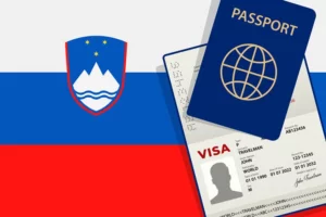 Как получить визу D в Словению?