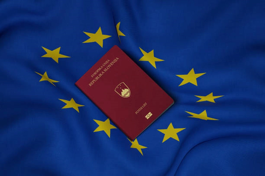 Перспективы получения ПМЖ и гражданства Словении на основании ВНЖ