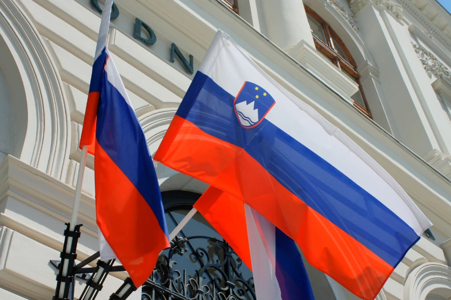 Кому точно подойдет ВНЖ Словении?