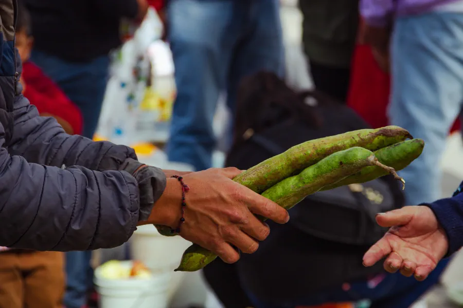Сколько стоят продукты в Мексике?