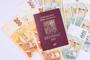 Гражданство Чехии получить для россиян за 12-18 месяцев
