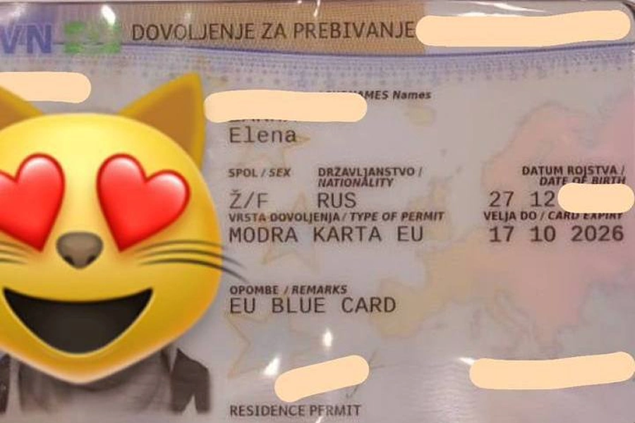 Кейс ВНЖ Словении по Blue Card ЕС